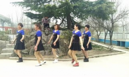 兔子舞视频,欢快节奏下的活力展现