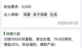 91直播在线网红,网络新星的崛起之路