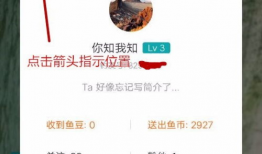 91钓鱼直播怎么看,揭秘钓鱼爱好者的线上聚集地